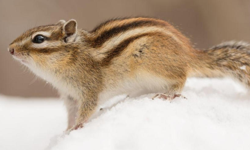 北京京盛鸿发商贸中心轮播图4