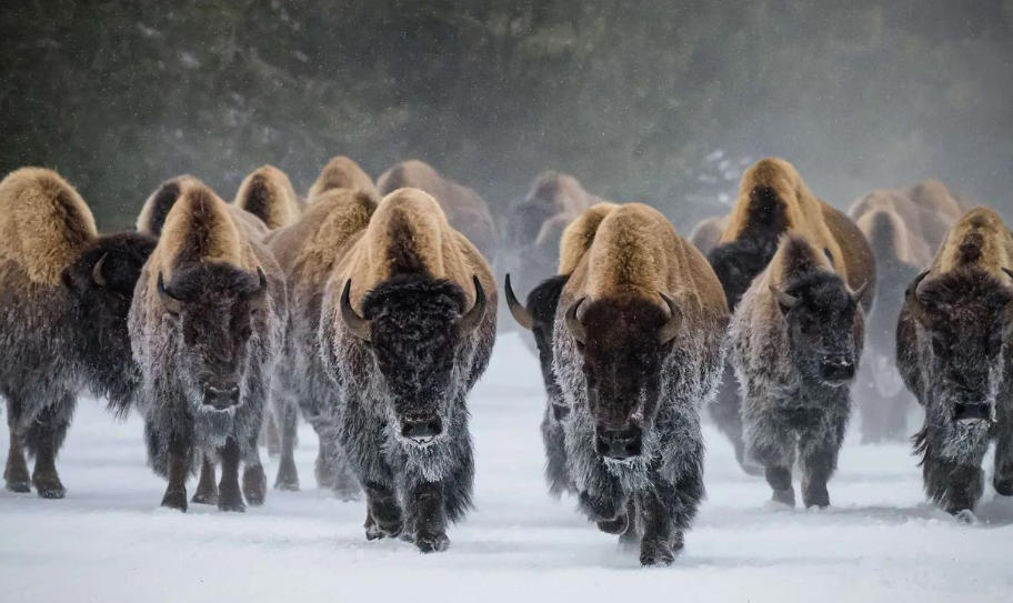 北京京盛鸿发商贸中心轮播图4